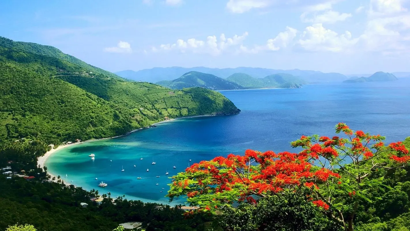 高效信息化自动化